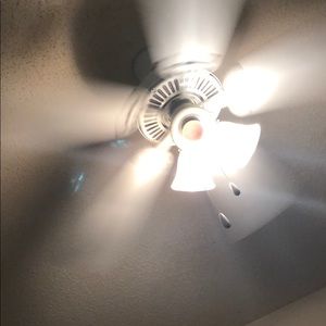 Meet your Posher, Brad